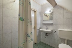 Foto Wespendief 4 Tollebeek 49.jpg